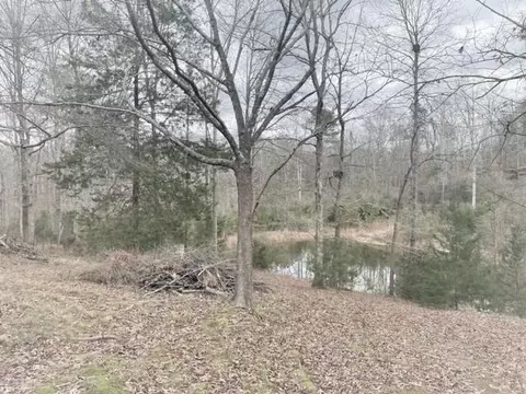 146 Johnson Rd, Braxton, MS 39044 photo 21