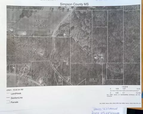 146 Johnson Rd, Braxton, MS 39044 photo 24