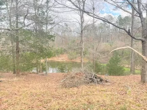 146 Johnson Rd, Braxton, MS 39044 photo 22