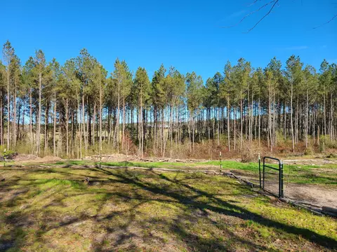 132 Jessies Ln, Laurel, MS 39443 photo 12