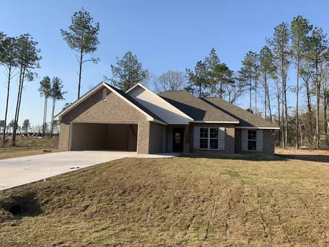 78 Planted Pine Dr, Purvis, MS 39475 photo 1