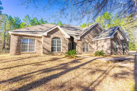 43 Old Salt Rd, Sumrall, MS 39482 photo 1