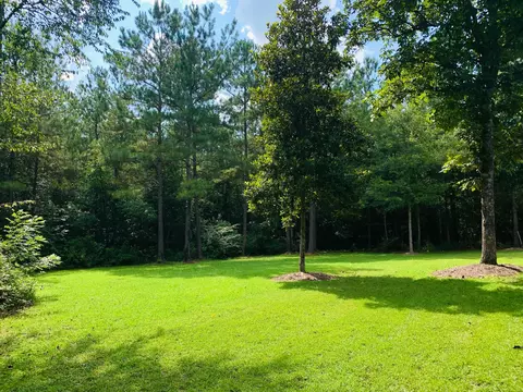 12 Roberts Ln, Sumrall, MS 39482 photo 38