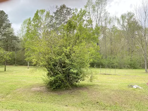 546 Maxey, Laurel, MS 39443 photo 19