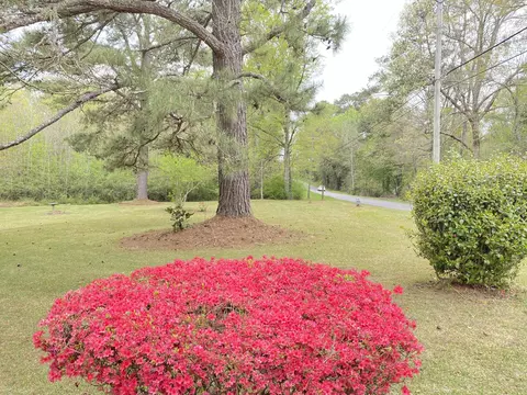 546 Maxey, Laurel, MS 39443 photo 6