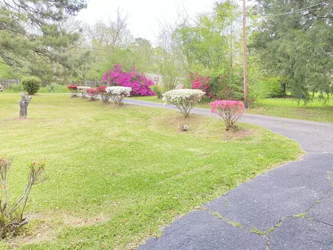 546 Maxey, Laurel, MS 39443 photo 13