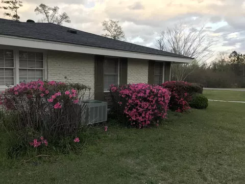 691 Hillcrest Loop, Petal, MS 39465 photo 3