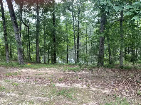 28 E Rays Lane Rd, Collins, MS 39428 photo 3