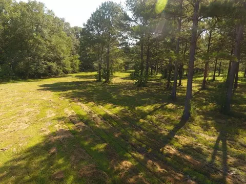292 Flynt Rd, Laurel, MS 39443 photo 43