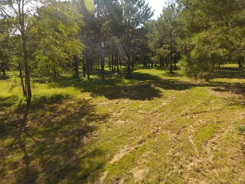292 Flynt Rd, Laurel, MS 39443 photo 45