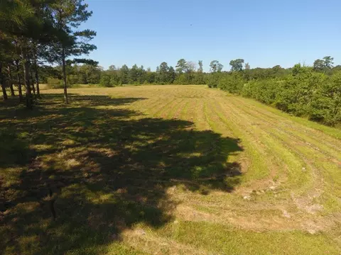 292 Flynt Rd, Laurel, MS 39443 photo 46