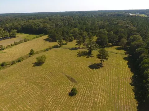 292 Flynt Rd, Laurel, MS 39443 photo 39