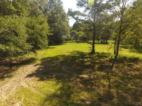 292 Flynt Rd, Laurel, MS 39443 photo 44