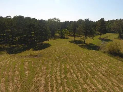 292 Flynt Rd, Laurel, MS 39443 photo 42