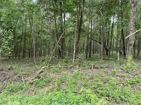 1 9ac Davis Rd, Petal, MS 39465 photo 1