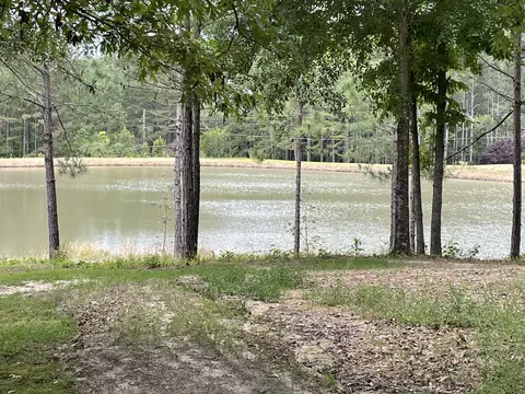 18 Colton Dr, Purvis, MS 39475 photo 33