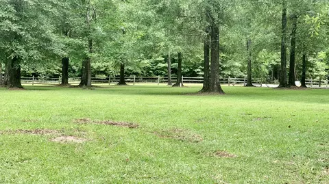 41 Tranquility Ln, Moselle, MS 39459 photo 4