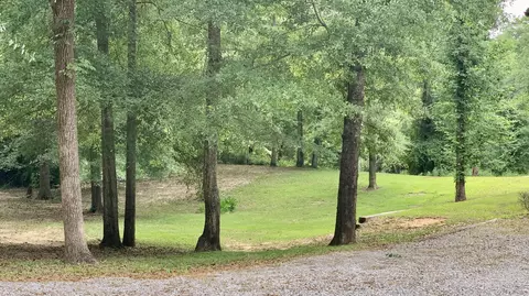 41 Tranquility Ln, Moselle, MS 39459 photo 3