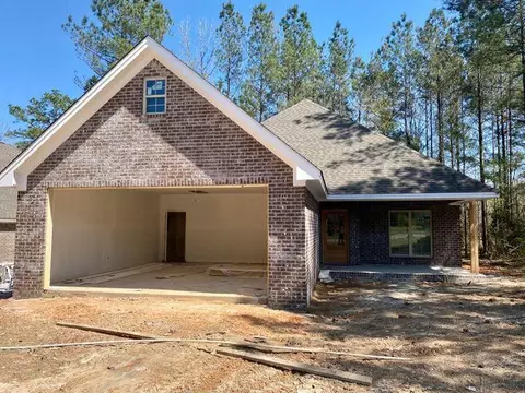 47 Lamplighter Ln, Purvis, MS 39475 photo 1