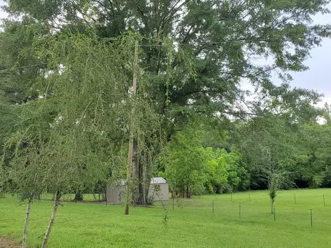 795 Sharon Moss Rd, Laurel, MS 39443 photo 6