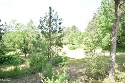 7101 River, Lucedale, MS 39452 photo 59