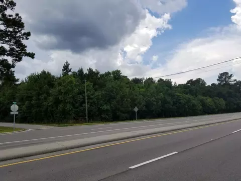 lot1 And 2 Hwy 42 E, Petal, MS 39465