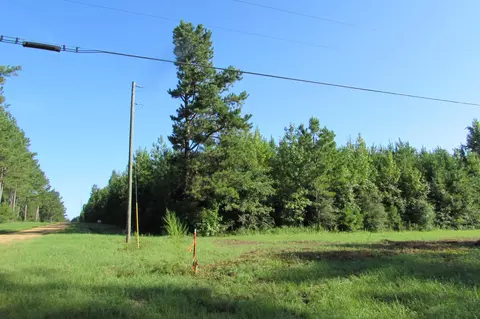 0000 Lampton Hilltop Rd, Columbia, MS 39429