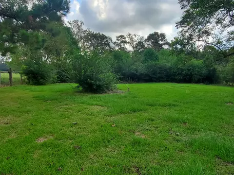 728 Mt Pleasant Rd, Mount Olive, MS 39119 photo 11