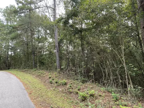 0 Josh Rd, Moselle, MS 39459