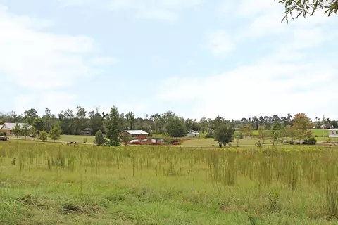 40 Cothren Rd, Collins, MS 39428 photo 23