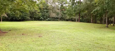 133 A Stephens Rd, Petal, MS 39465 photo 3