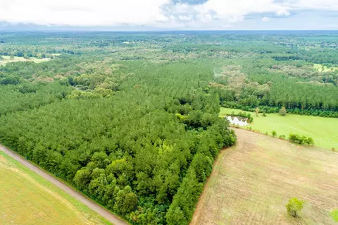 234 Tom Sistrunk Rd, Jayess, MS 39641 photo 32