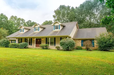 234 Tom Sistrunk Rd, Jayess, MS 39641 photo 1