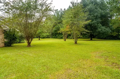 234 Tom Sistrunk Rd, Jayess, MS 39641 photo 43
