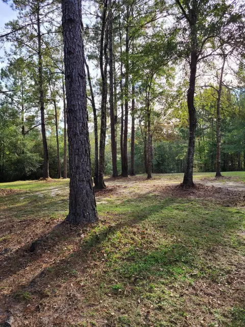 56 Davis, Brooklyn, MS 39425 photo 3