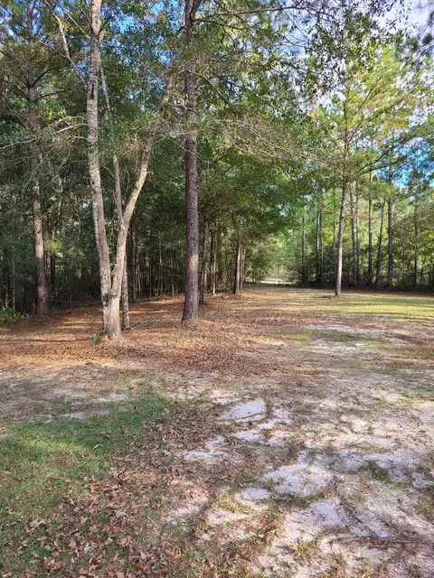 56 Davis, Brooklyn, MS 39425 photo 5