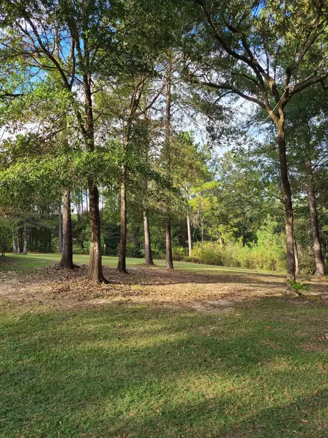 56 Davis, Brooklyn, MS 39425 photo 4