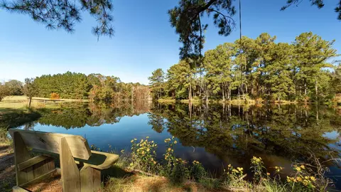 130 Buckley Rd, Laurel, MS 39443 photo 43
