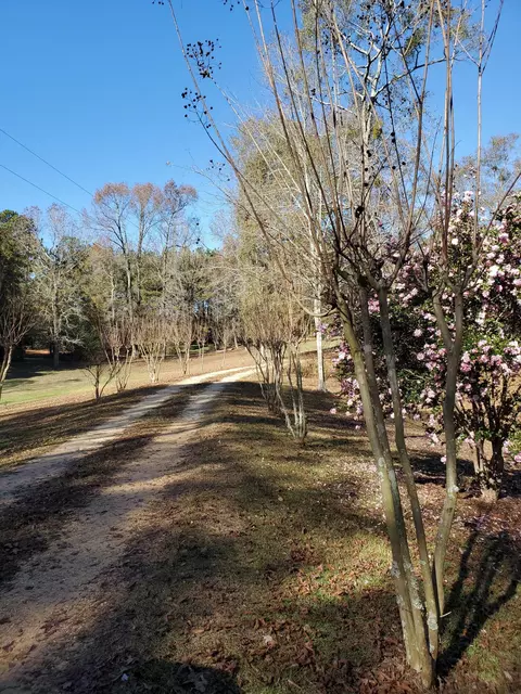 179 Scr 50a1, Mize, MS 39116 photo 2