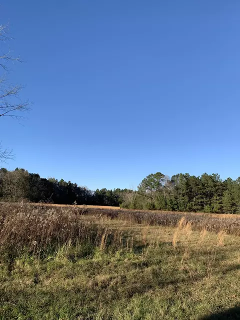 26 Mitchell Rd, Purvis, MS 39475 photo 5
