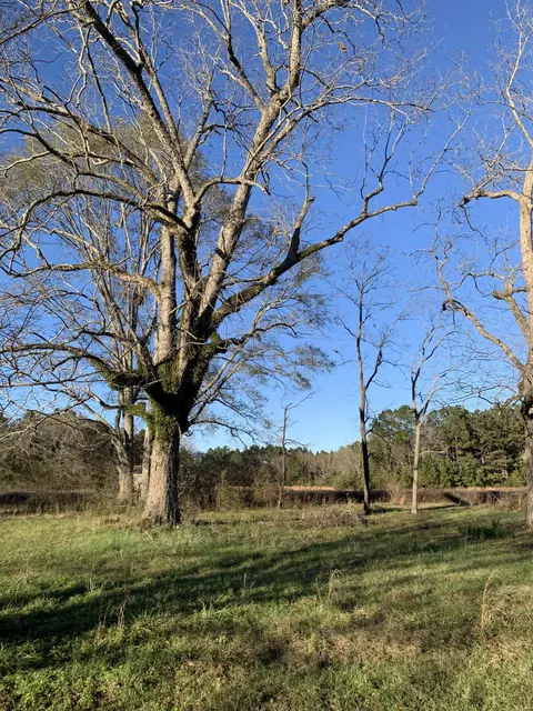 26 Mitchell Rd, Purvis, MS 39475 photo 3
