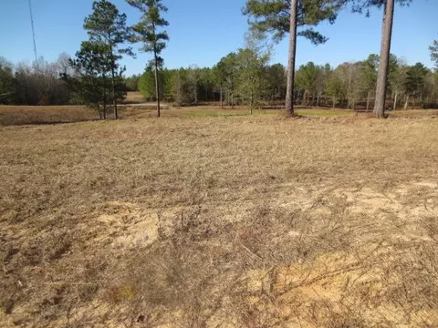 11 Mary Russell, Ellisville, MS 39437