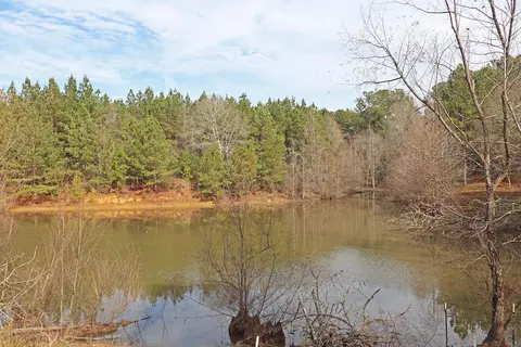 74 Aultman Rd, Sumrall, MS 39482 photo 24