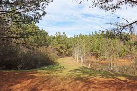74 Aultman Rd, Sumrall, MS 39482 photo 28