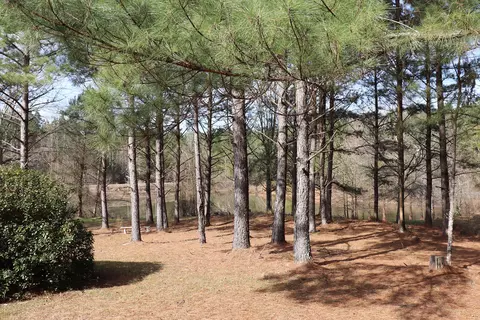 74 Aultman Rd, Sumrall, MS 39482 photo 27