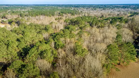 86 Davis Rd, Petal, MS 39465 photo 5