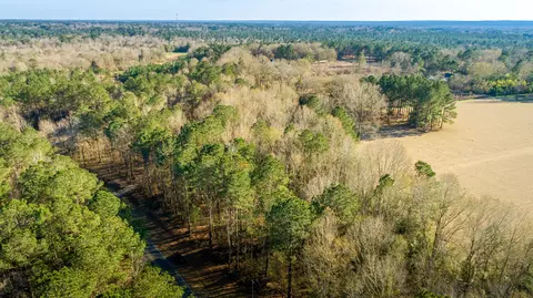 86 Davis Rd, Petal, MS 39465 photo 6