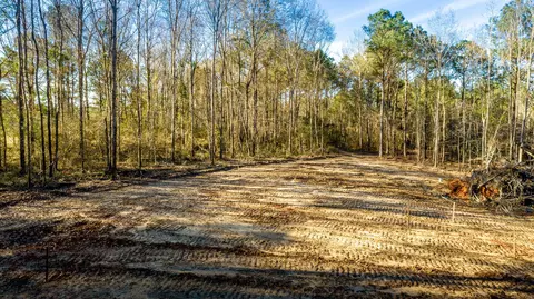 86 Davis Rd, Petal, MS 39465 photo 2