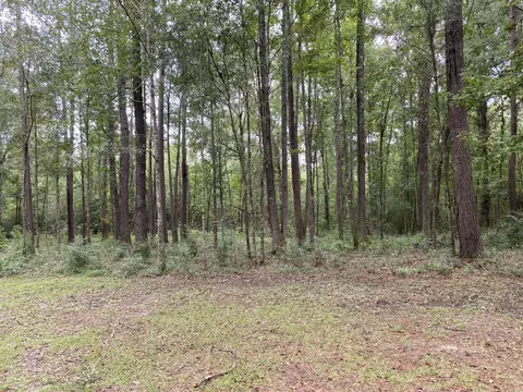 153 Cooper Rd, Purvis, MS 39475 photo 10