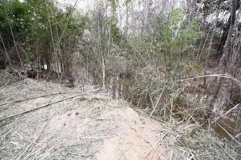 47 Hart Rd, Sandy Hook, MS 39478 photo 30